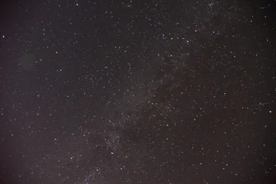 DSC_1115 (Large).JPG